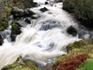 Falls iv